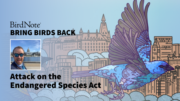 Attack on the Endangered Species Act Attack on the Endangered Species Act