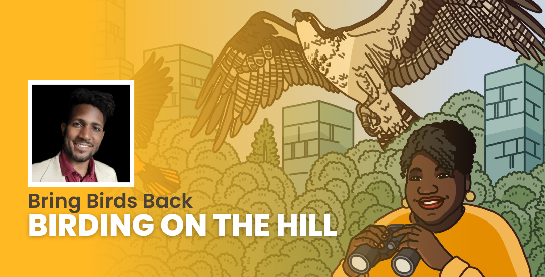 Episode promotional graphic for Bring Birds Back: "Birding On The Hill" featuring the podcast artwork and headshot of guest, Tykee James