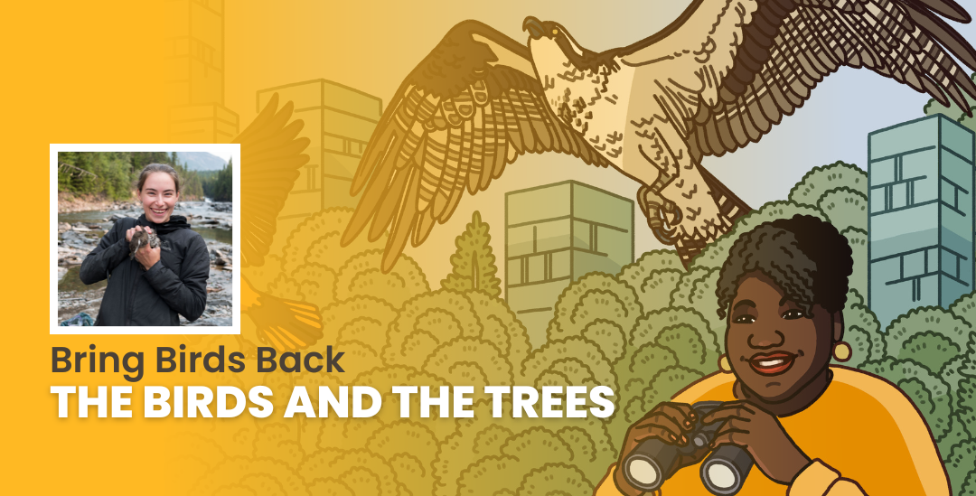 Episode promotional graphic for Bring Birds Back: "The Birds and The Trees" featuring the podcast artwork and headshot of guest, Peri Sasnett