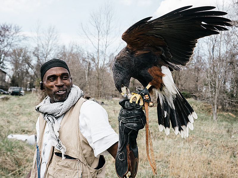 2016_0317_GK_rodneyraptor415-800x_credit-Greg-Kahn.jpg