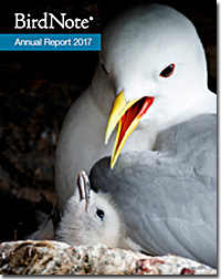 2017 BirdNote Annual Report