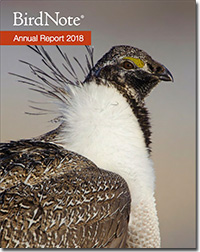 BirdNote 2018 annual report