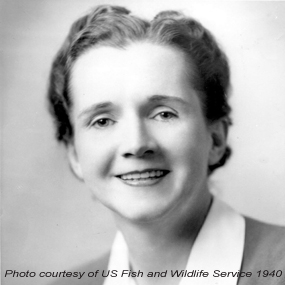 Rachel Carson 1940