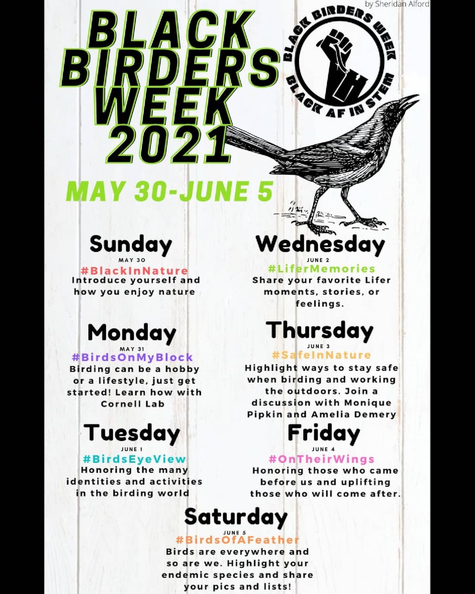 Black Birders Week 2021