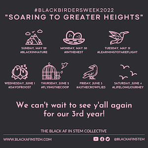 The overview of Black Birders Week 2022, "Soaring to greater heights"