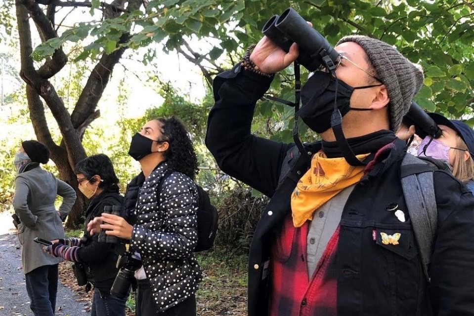 A group of birders wearing face masks look up at birds in trees to the left