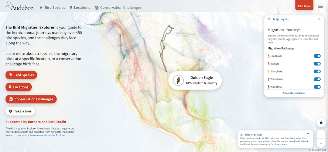 The home page of the Bird Migration Explorer on Audubon.org