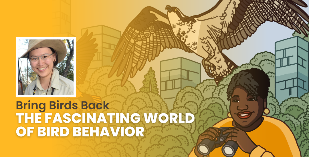 Episode promotional graphic for Bring Birds Back: "The Fascinating World of Bird Behavior" featuring the podcast artwork and headshot of guest, Wenfei Tong