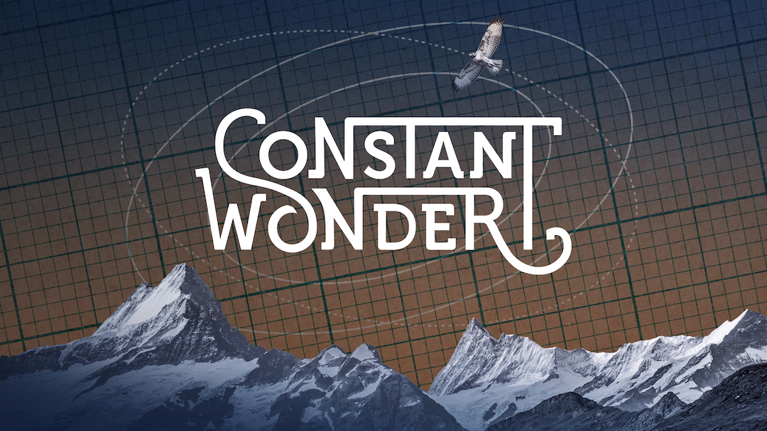 The logo for Constant Wonder featuring a bird flying over a mountain range.