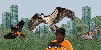Bring Birds Back podcast artwork