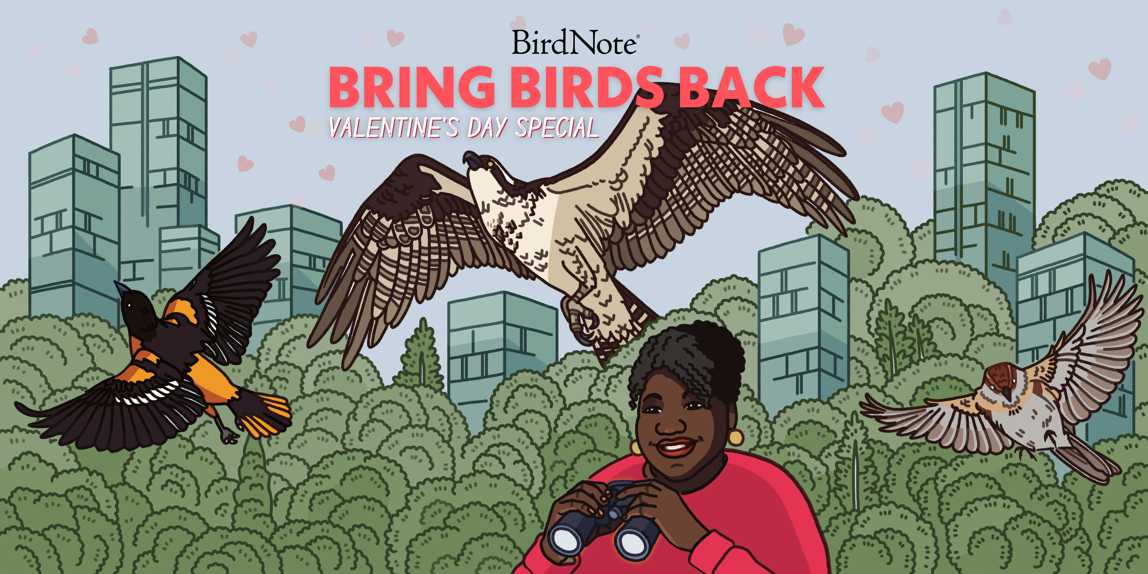 Bring Birds Back Cover Art with Bring Birds Back Text in Large Pink text and Tenijah Hamilton holding binoulars with a background of birds