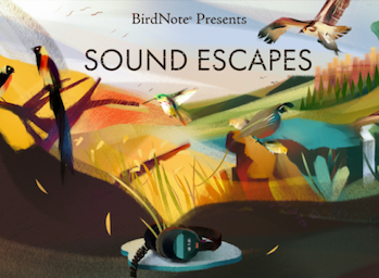 Sound Escapes artwork