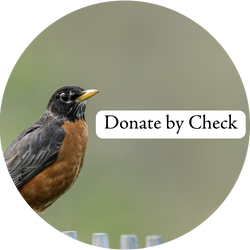 An American Robin with the text "Donate by Check"