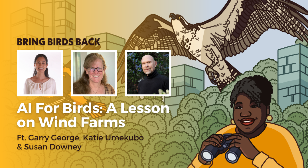 Episode promotional graphic for Bring Birds Back season 4 episode 2
