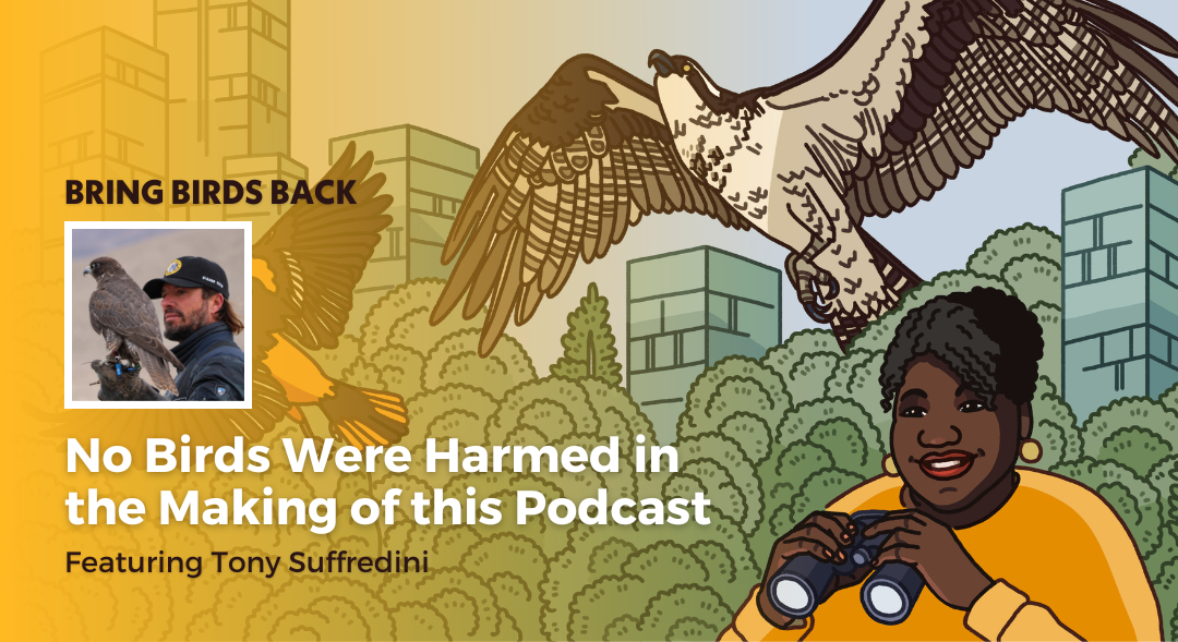 Episode promotional graphic for Bring Birds Back: "No Birds Were Harmed in the Making of this Podcast" featuring the podcast artwork and headshot of guest, Tony Suffredini