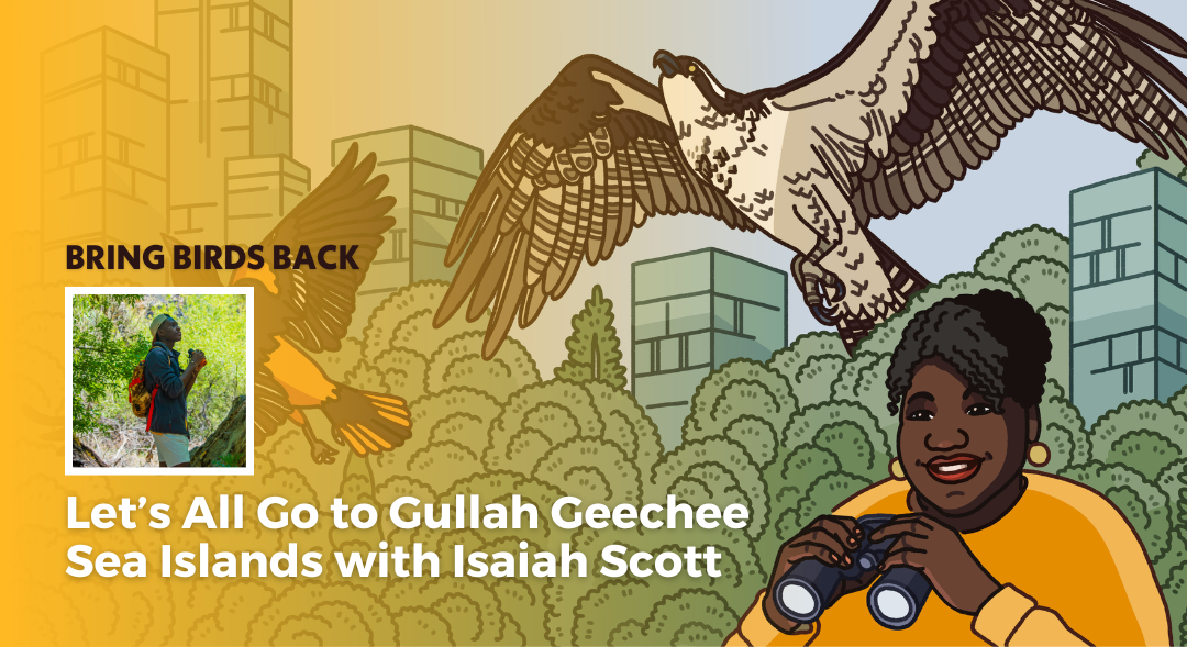 Episode promotional graphic for Bring Birds Back: "Let’s All Go to Gullah Geechee Sea Islands with Isaiah Scott" featuring the podcast artwork and headshot of guest, Isaiah Scott