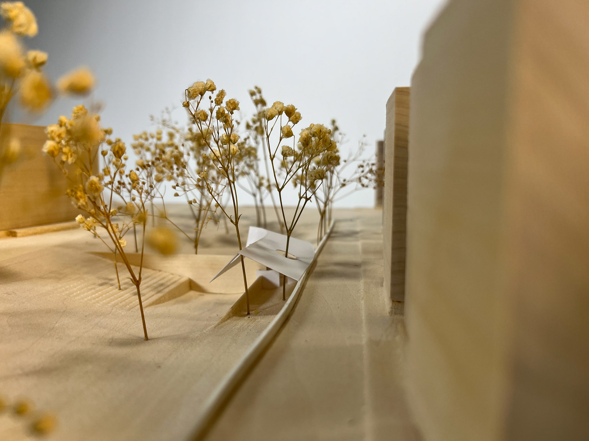 3-D model of pavilion
