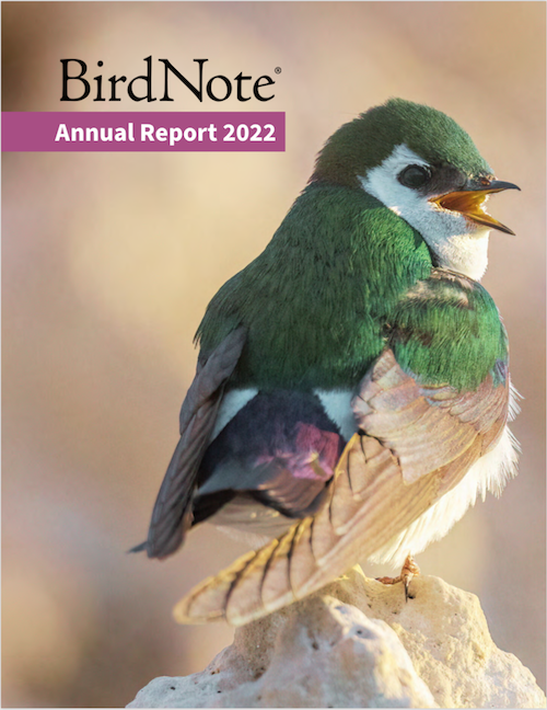 Annual Report 2022 Cover featuring a Violet-green Swallow