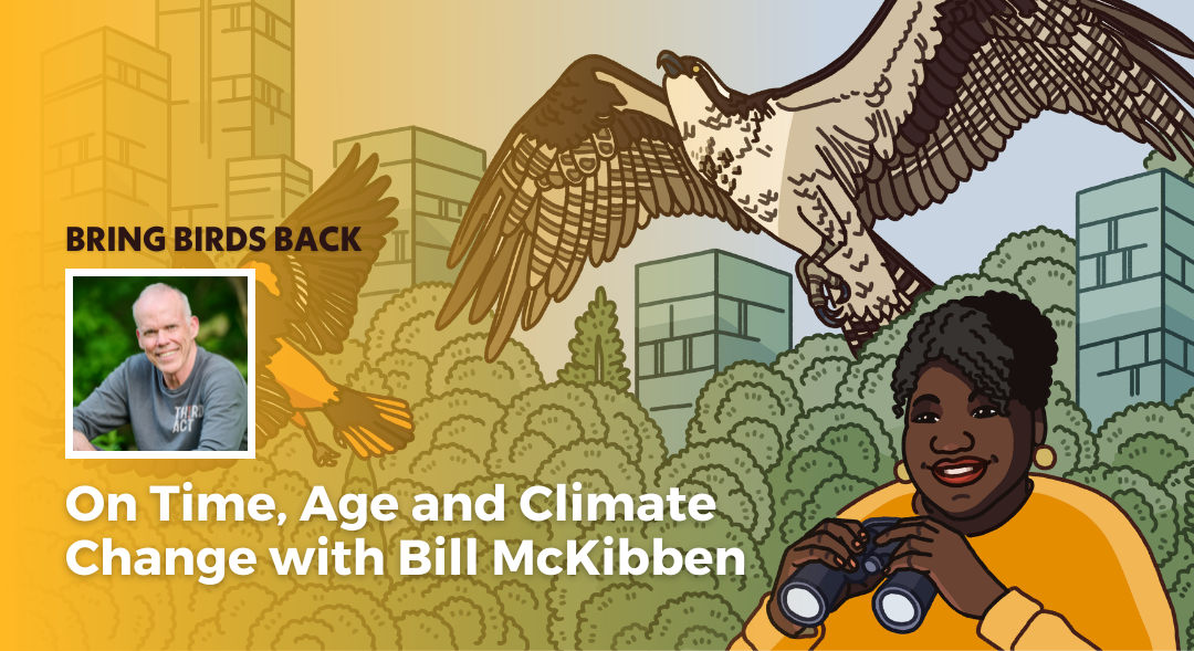 A graphic with the Bring Birds Back artwork on the right side and a photo of Bill McKibben on the left side.