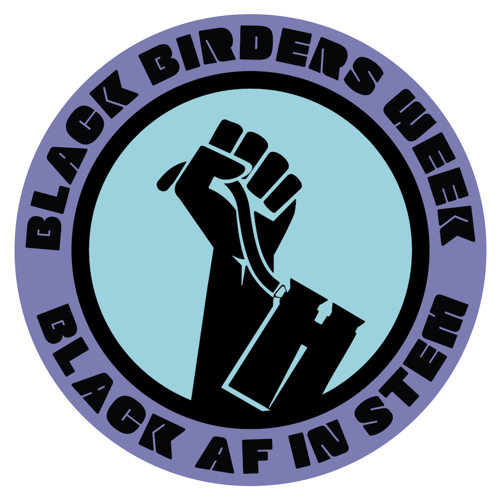 Black AF In STEM Logo