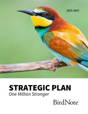 BirdNote's 2023 Strategic Plan cover features a European Bee-eater perched on a branch with the words "Strategic Plan, One Million Stronger" down below and BirdNote's logo in the bottom right corner