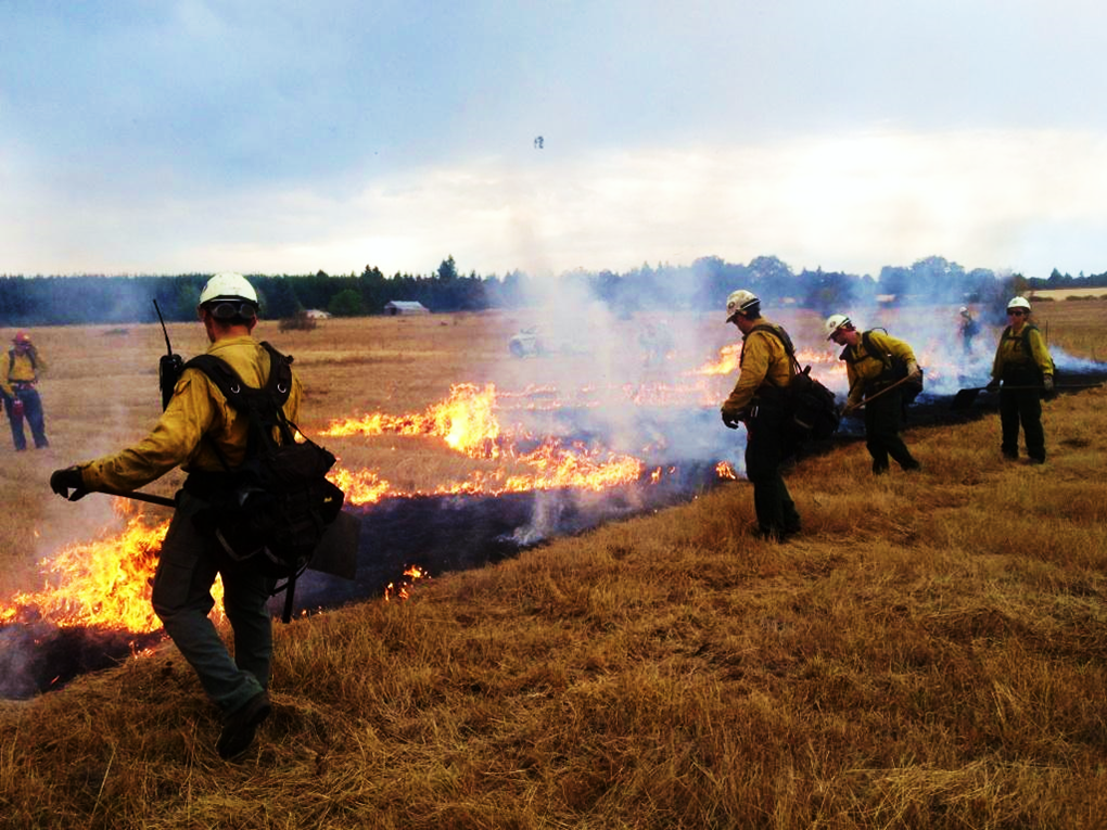 Firefighters battling prescribed fire in grasslands