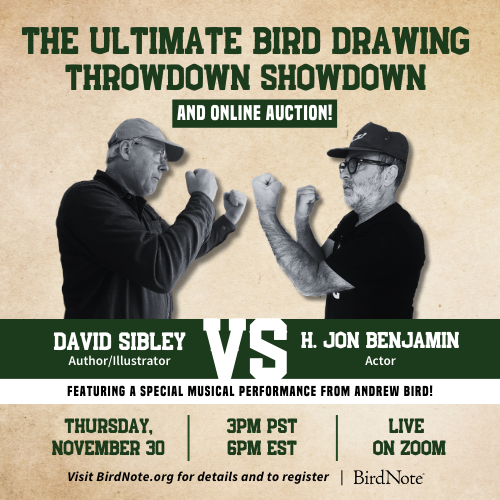 The Ultimate Bird Drawing Throwdown Showdown Graphic featuring images of David Sibley and H. Jon Benjamin