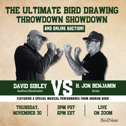 The Ultimate Bird Drawing Throwdown Showdown Graphic featuring images of David Sibley and H. Jon Benjamin