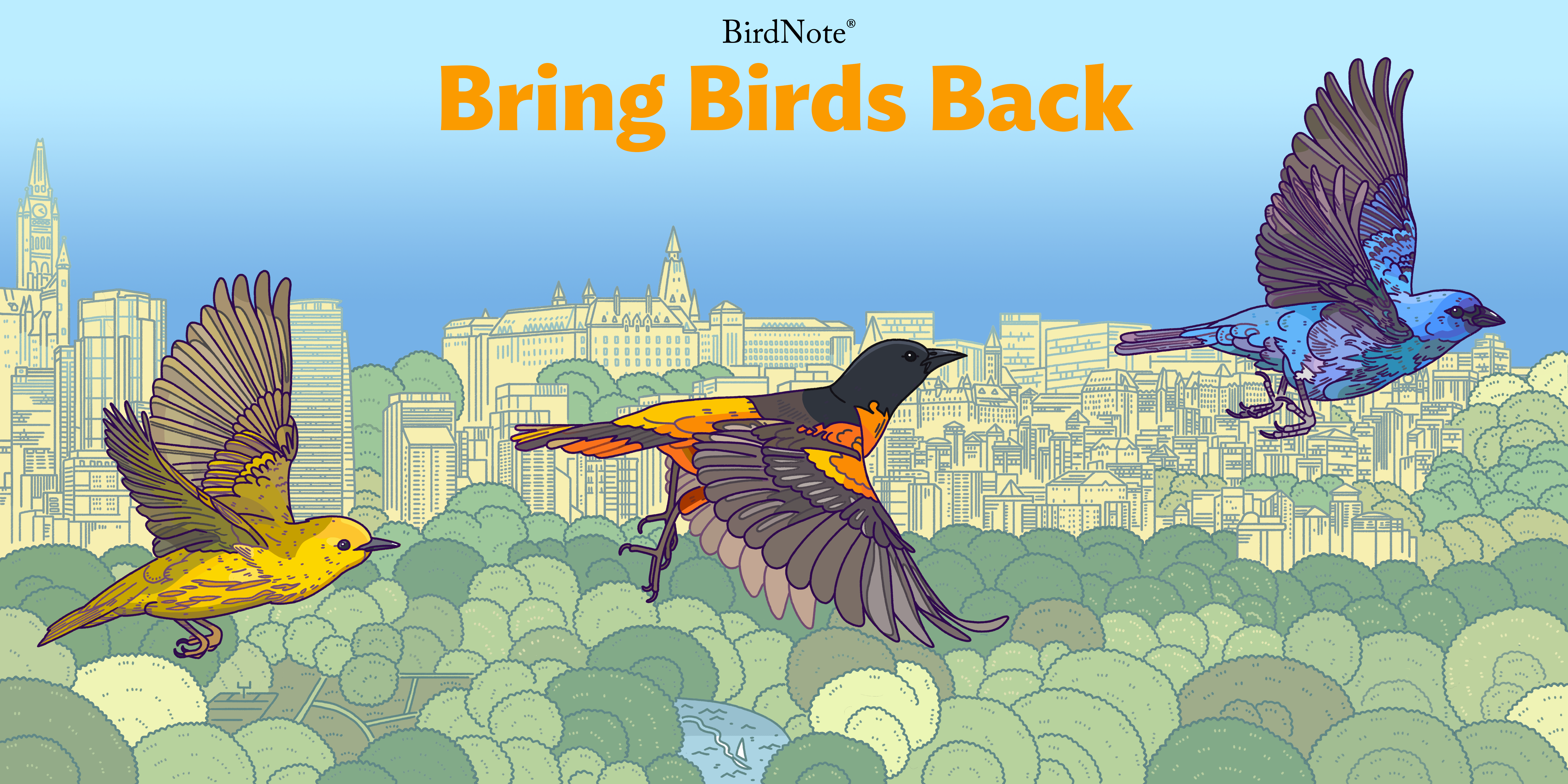 A graphic with the Bring Birds Back artwork. A Warbler, Robin, and Indigo Bunting are depicted. The text reads "Bring Birds Back"