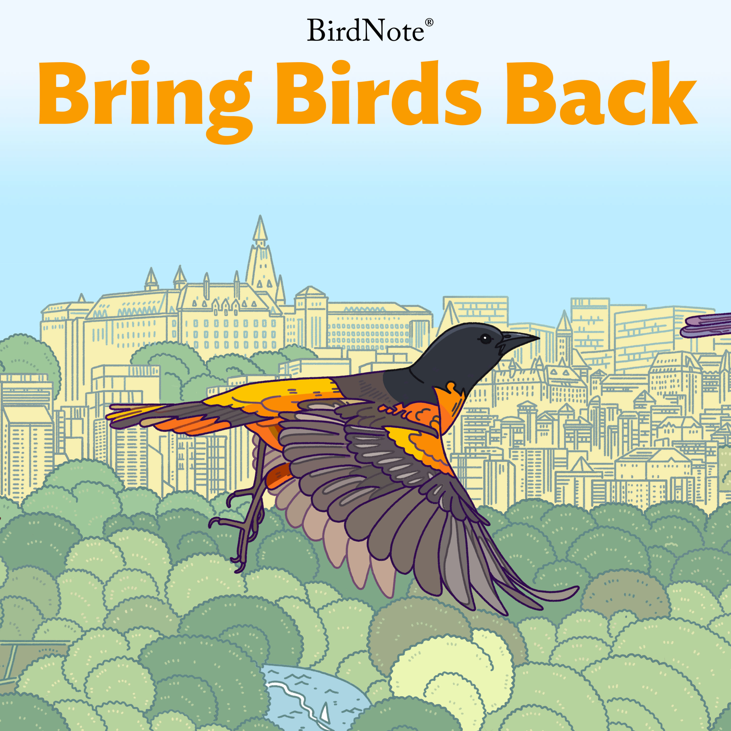 Bring Birds Back cover art
