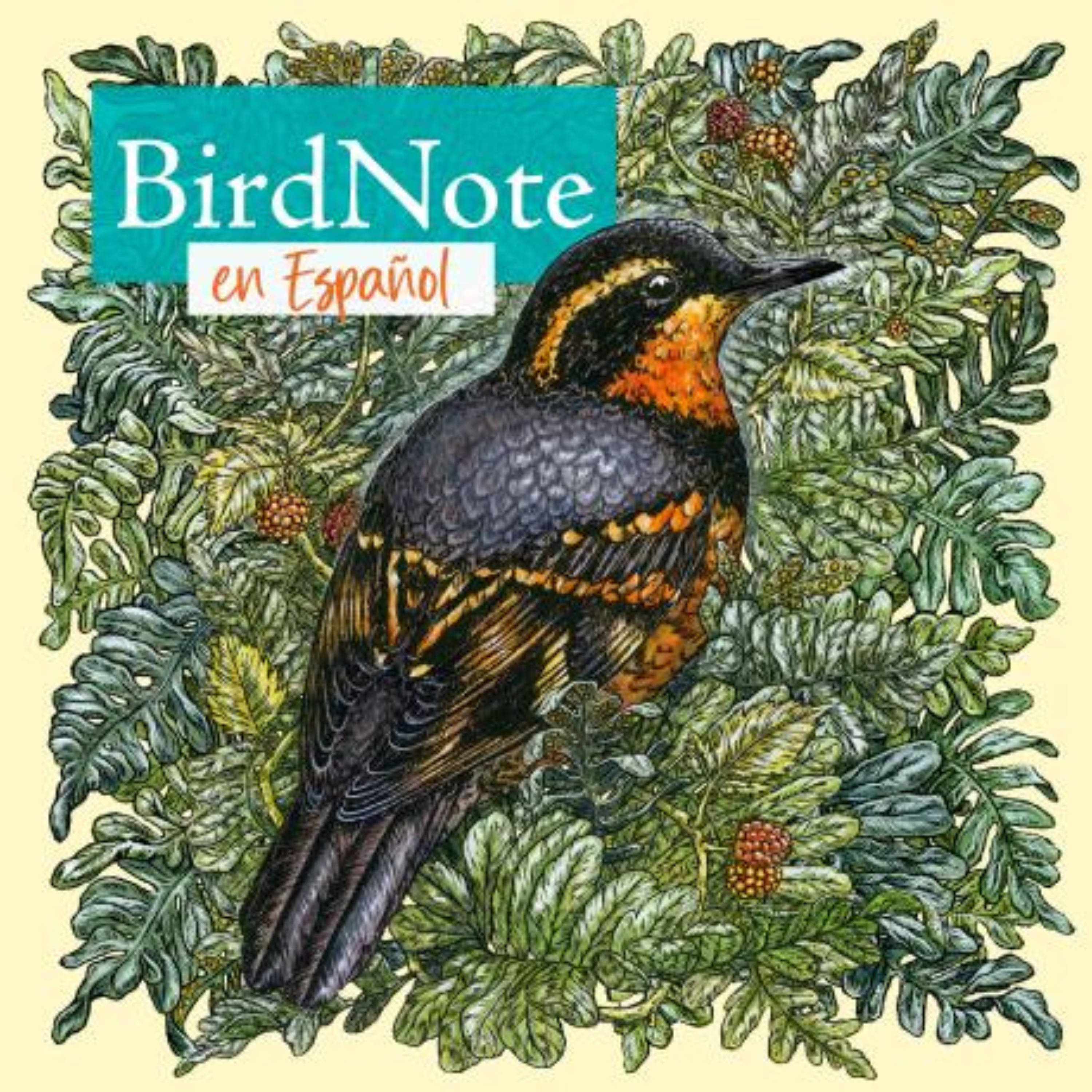 BirdNote en Español cover art