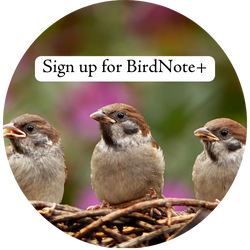 Sign up for BirdNote+