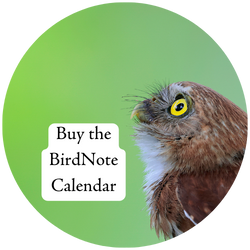 Buy the BirdNote Calendar