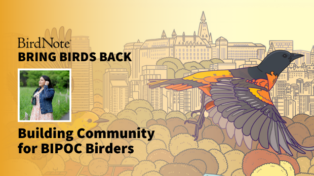 Bring Birds Back Season 6 Episode 2