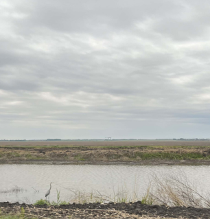 Cheyenne Bottoms