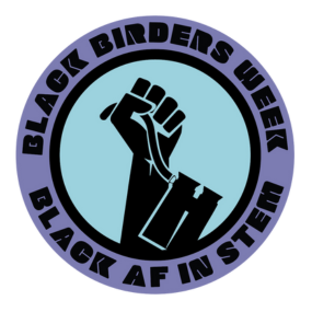Black AF in STEM