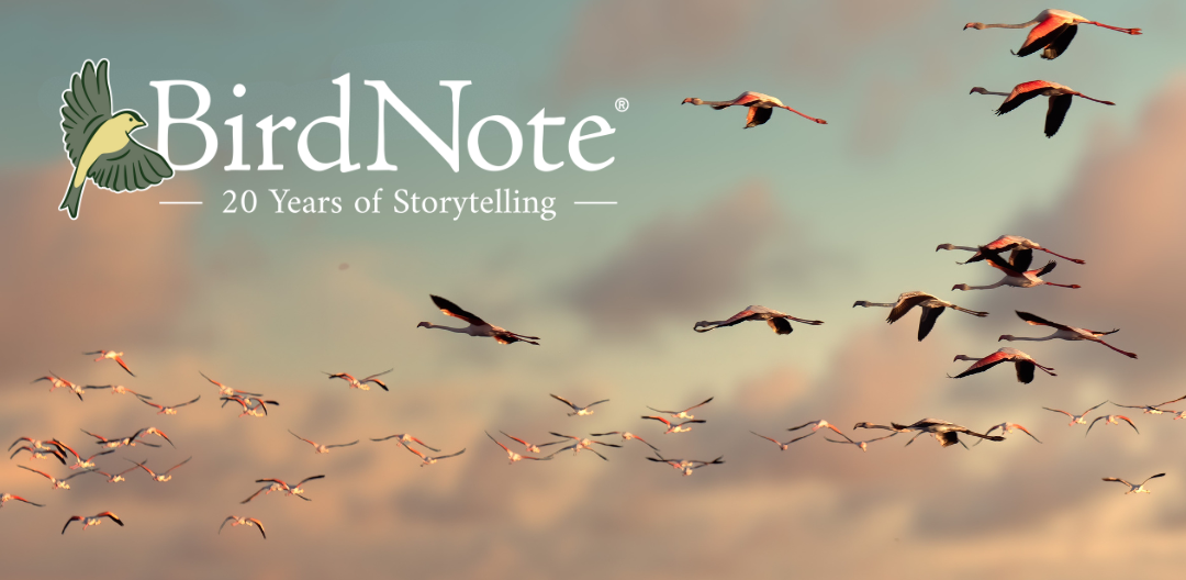 Flock of Birds