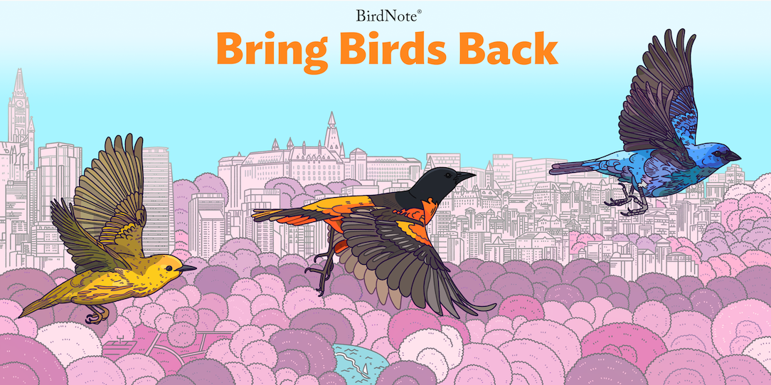 Bring Birds Back Season 7 The Bring Birds Back logo is enhanced with vibrant colors, including purple and pink background, with three colorful birds (the first yellow, second is brown and orange, and third is blue) flying in the sky in the foreground.