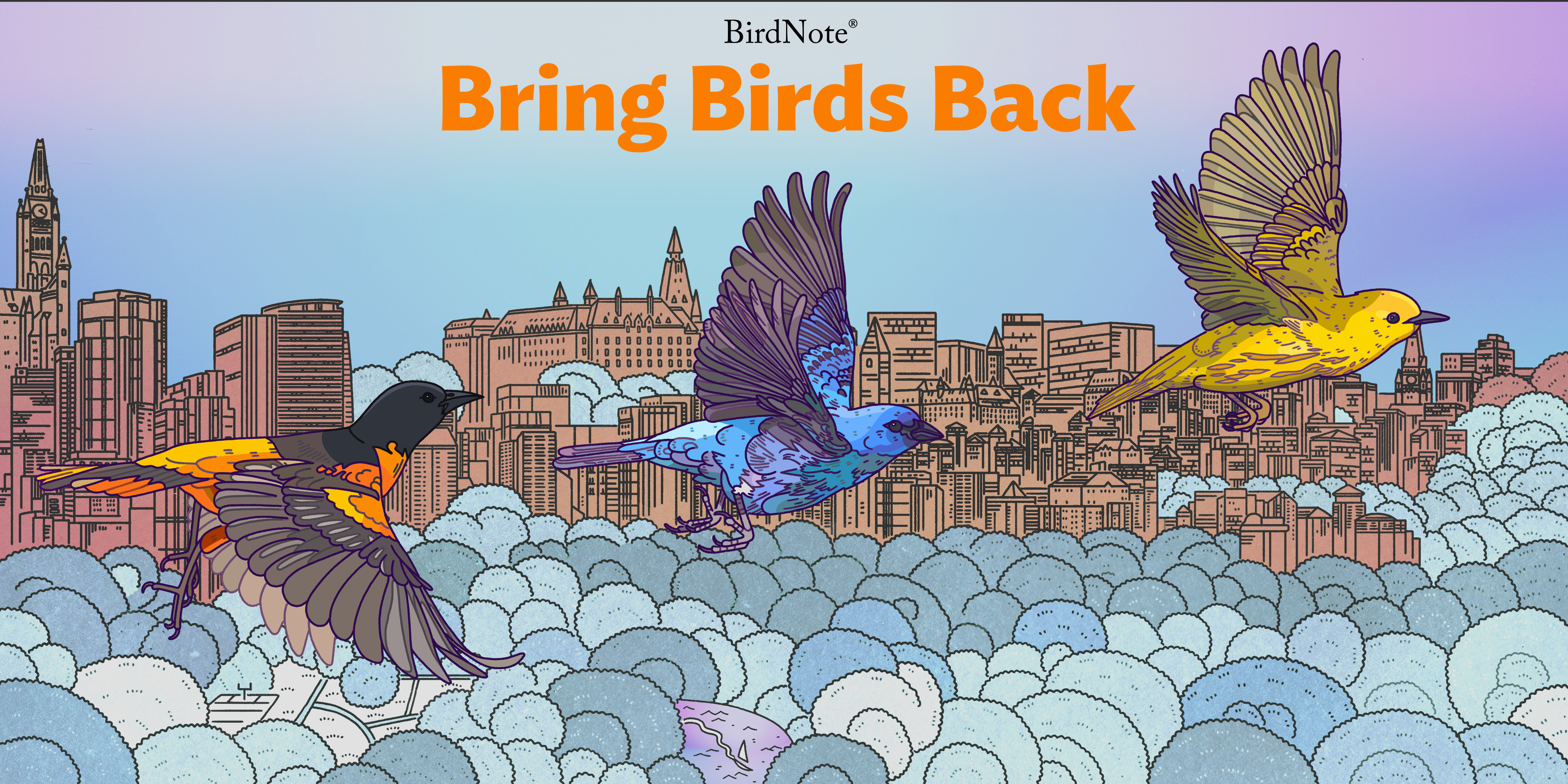 Season 8 of Bring Birds Back The Bring Birds Back logo with enhanced blues and greens in the background with Northern lights. In the foreground, three colorful birds fly in the sky.