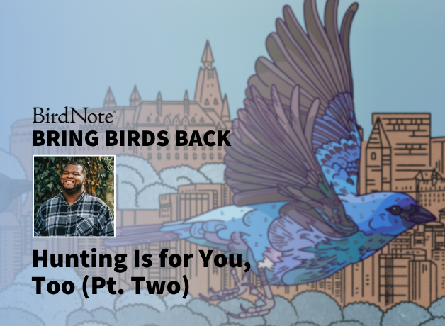 Bring Birds Back Season 8 Episode 5