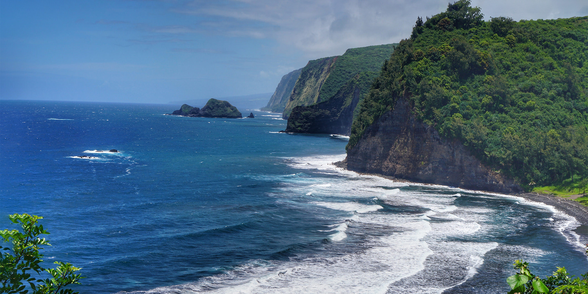 The Song of the Big Island | BirdNote The Song of the Big Island | BirdNote