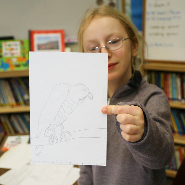 Student displays her illustration of a bird