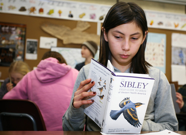 Student reading The Sibley Field Guide to Birds of Western North America