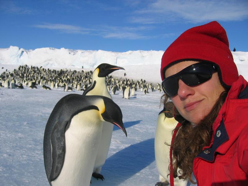 Emperor Penguin Compared To Human
