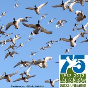 Ducks Unlimited Celebrates Anniversary