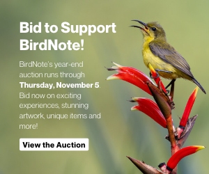 Bid to Support BirdNote! BirdNote's year-end auction runs through Thursday, November 5th. Bid now on exciting experiences, stunning artwork, unique items and more!