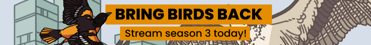 Bring Birds Back - stream season 3 today!