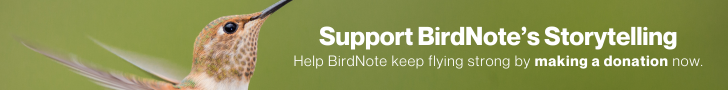 Support BirdNote's Storytelling