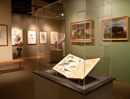 John J. Audubon's printed material on display in a clear case at Longmont Museum.