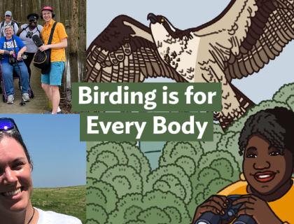 A graphic with the Bring Birds Back artwork on the right side, a group photo of Tenijah with a birding group in the top-left corner, and a photo of Freya McGregor in the bottom-left corner.